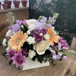 Peachy Keen