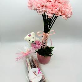 Pink carnation arrangement in a pot with a teddy bear and wrapped pretzels