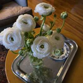 White ranunculus in a glass vase on a silver tray
