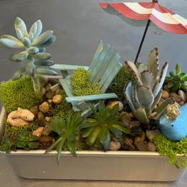 Succulent arrangement in a rectangular planter with a tiny chair and umbrella