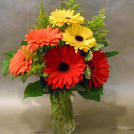 Bouquet of red, coral, and yellow gerbera daisies in a clear glass vase