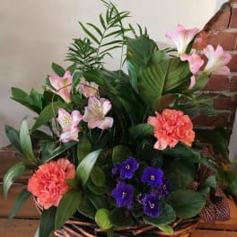 Basket arrangement with pink lilies, coral carnations, and purple violets