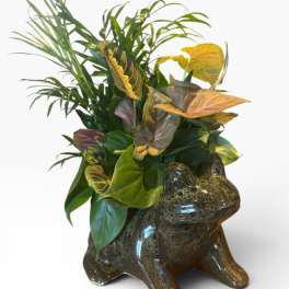 Froggie Planter