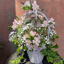 Pink alstroemeria arranged in a white basket with baby's breath