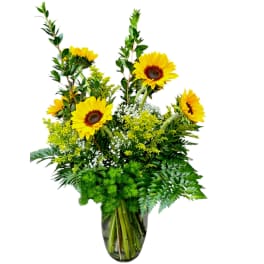 Classical Sunflowers