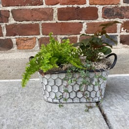 Mixed potted plants in a metal container with a honeycomb pattern