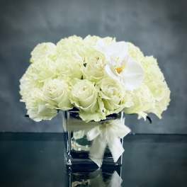 Kissing Butterflies - Pasadena Florist
