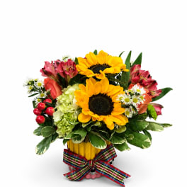 Bouquet of sunflowers, pink alstroemeria, and white daisies in a yellow container