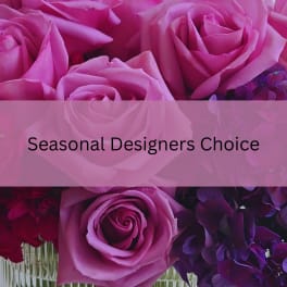 Designers Seasonal Choice