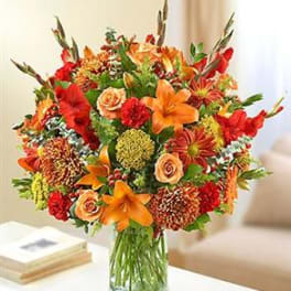 Ultimate Elegance Fall