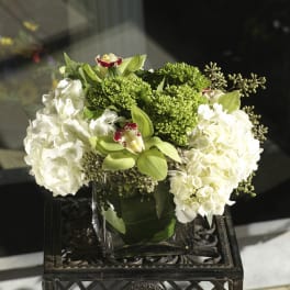 White hydrangea and green orchid arrangement in a glass vase