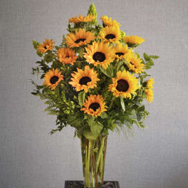 Spectacular Sunflowers