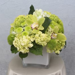 Green and white floral arrangement in a square glass vase
