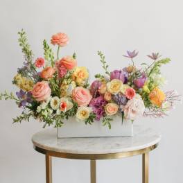 (NEW) Darina