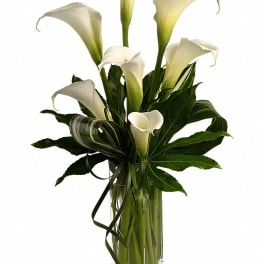 White calla lilies arranged in a clear glass vase