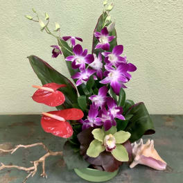 Tropical orchid arrangement in a green container with red anthuriums