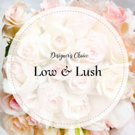 Low & Lush Designer's Choice
