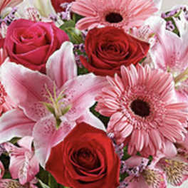 Bouquet of red roses, pink lilies, and pink gerbera daisies