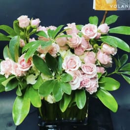 Pink roses arranged in a black vase with broad green leaves