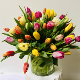 Mixed tulips in a clear glass vase