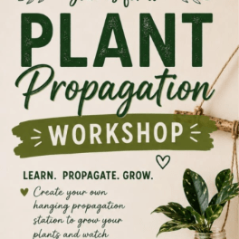 July 23rd-Plant Propagation Workshop