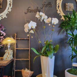 White orchids in a tall white vase with decorative branches