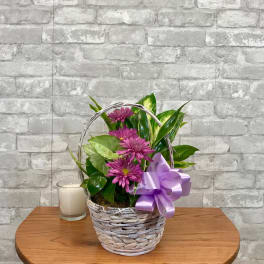 Purple flowers in a wicker basket with a lavender bow