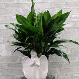 Potted green plant in a white angel-shaped ceramic planter