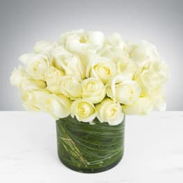 Two Dozen White Roses by BloomNation™