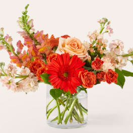 Paloma Please Bouquet