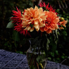 Orange and red dahlia bouquet in a clear glass vase