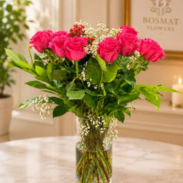 Dozen Long Stemmed Hot Pink Roses