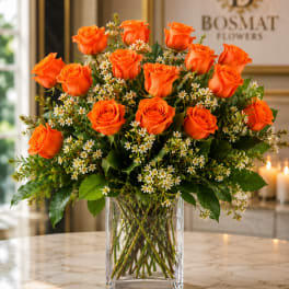 Dozen Long Stem Coral Roses