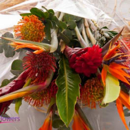 Tropical bouquet with orange bird-of-paradise and red pincushion blooms