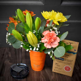 Sippy Stems in Orange