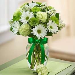 White daisies and green pom flowers in a glass vase with a green ribbon
