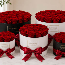 Box Of Love