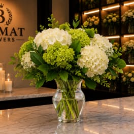 White and green hydrangea arrangement in a clear glass vase