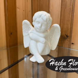 Cherub
