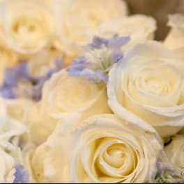 Close-up of cream roses with small lavender flowers