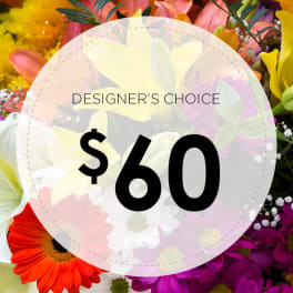 Designer's Choice - $60