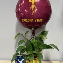 ASU Smiley Plant & Dutch Bros.