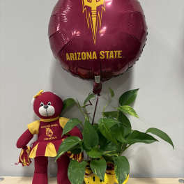 Arizona State balloon with a teddy bear and potted plant