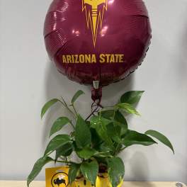 Potted green plant with a maroon Arizona State balloon and a Buffalo Wild Wings card