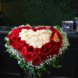Heart-shaped bouquet of red and white roses with baby’s breath