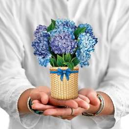 Blue and purple hydrangeas in a woven basket with a ribbon