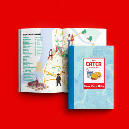 Two New York City guidebooks on a red background