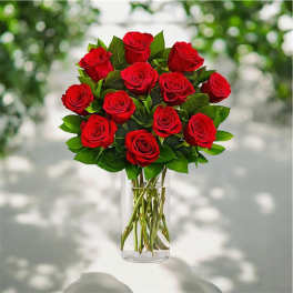 One Dozen Roses