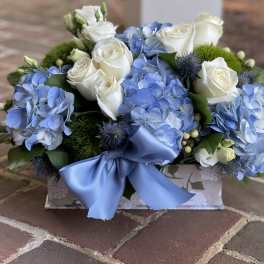 Blue Serenity
