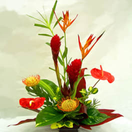 Tropical floral arrangement with red anthuriums and orange bird-of-paradise blooms